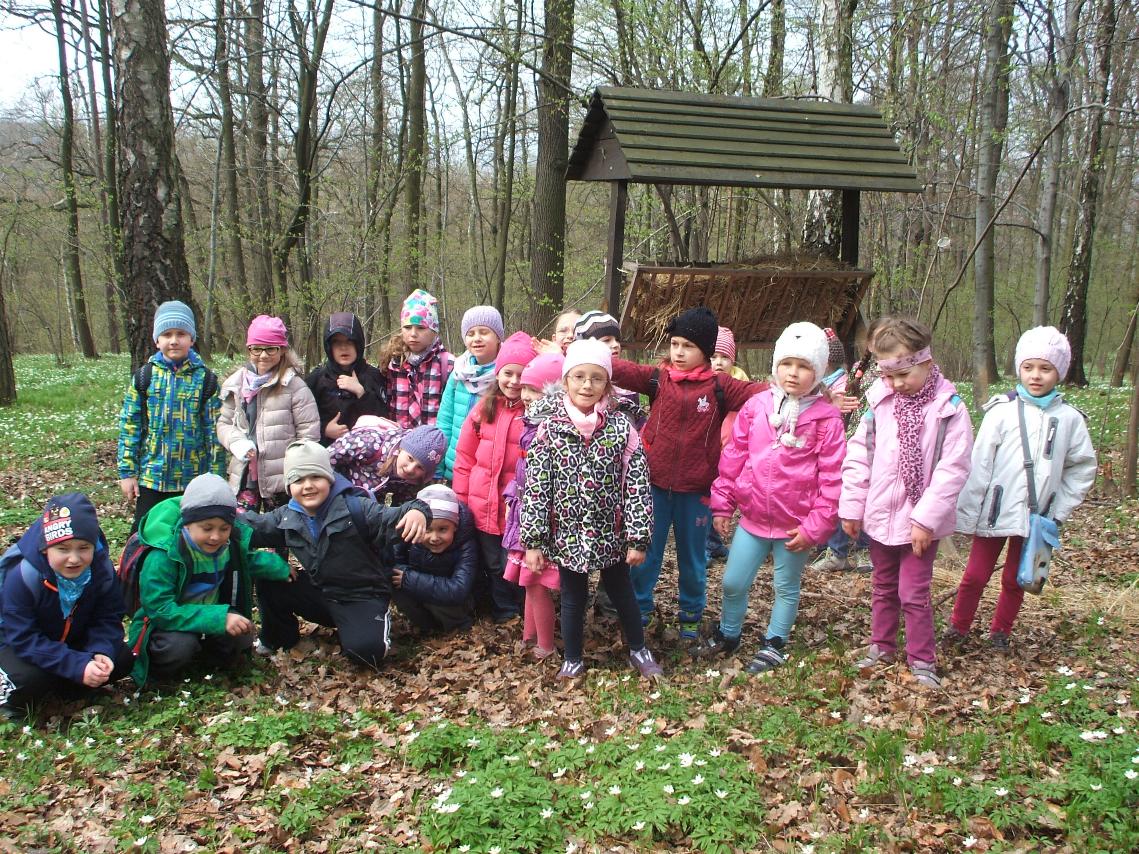 Szlakiem kopcow
