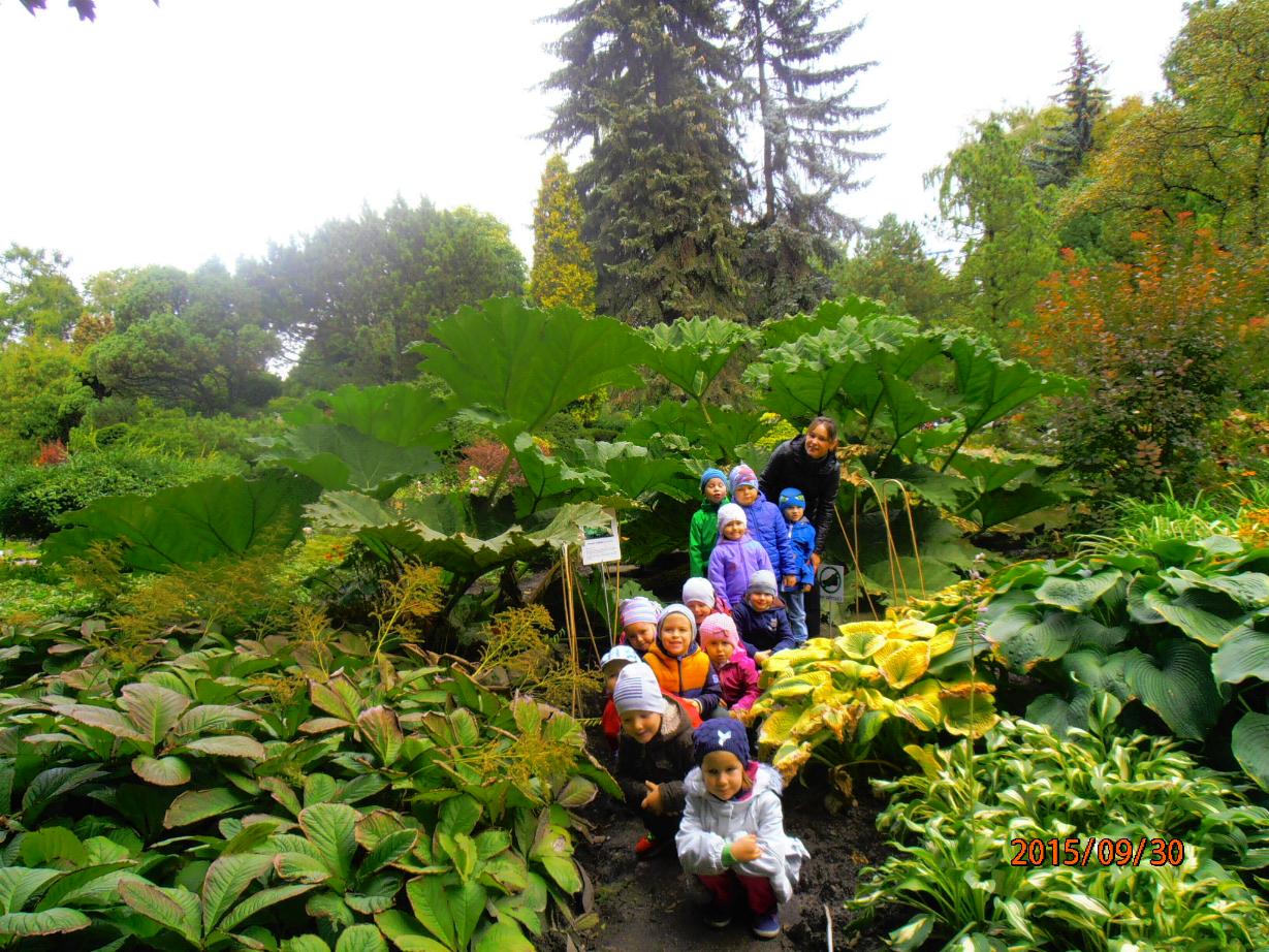 Ogrod Botaniczny 3