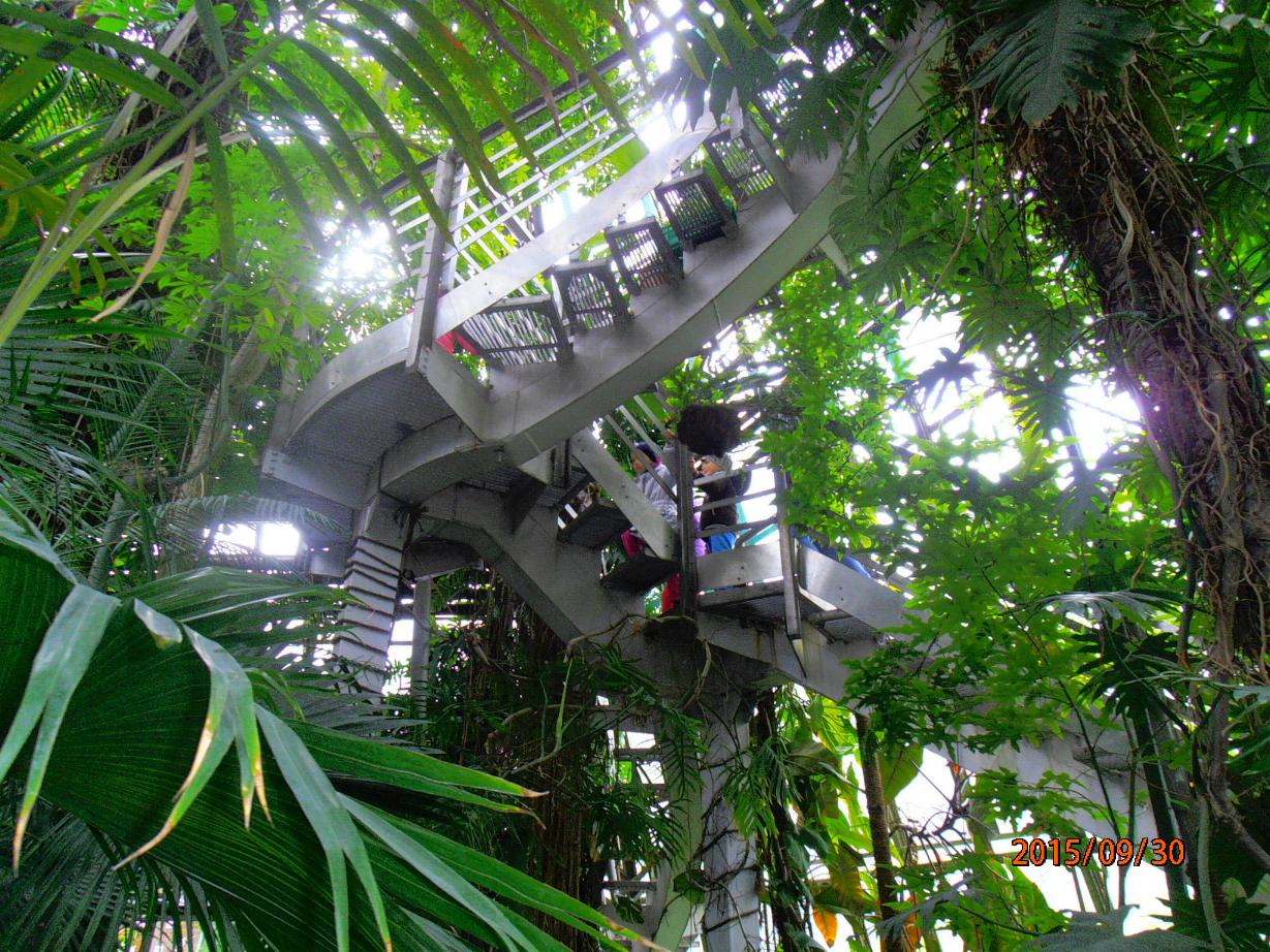 Ogrod Botaniczny 5