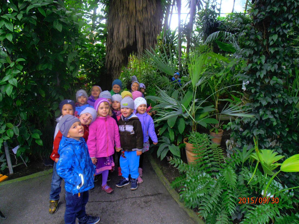 Ogrod Botaniczny 6