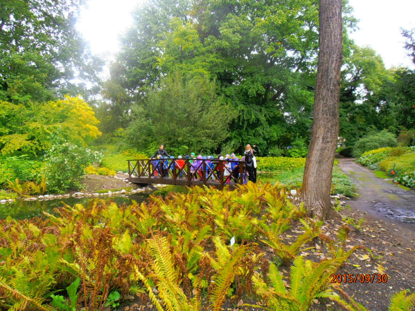 Ogrod Botaniczny 7