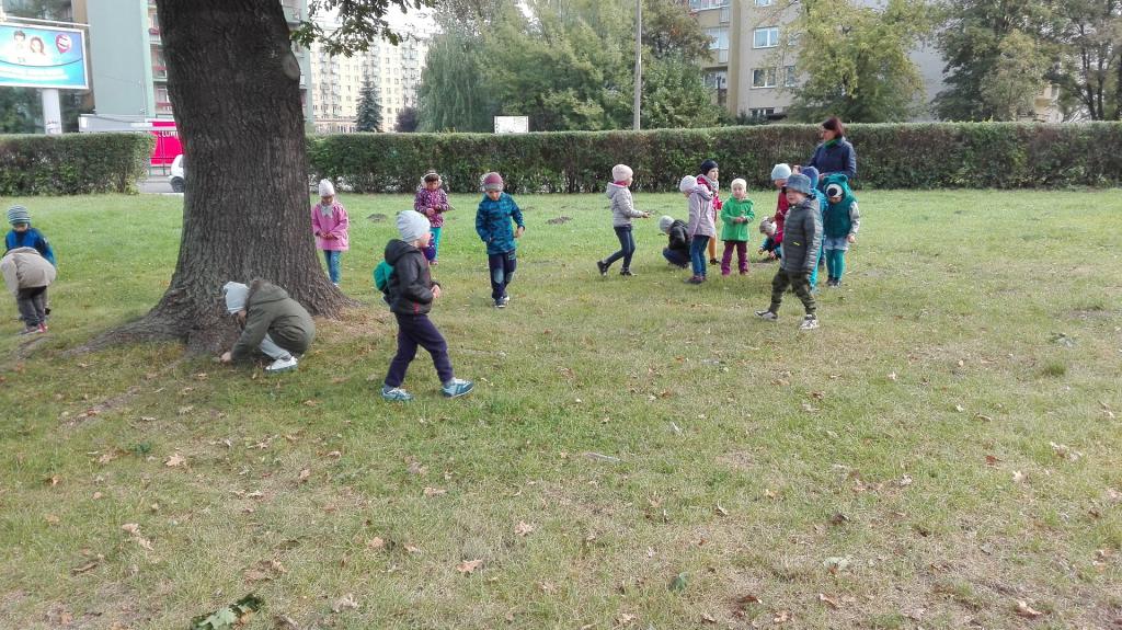 IMG 20160922 0942581