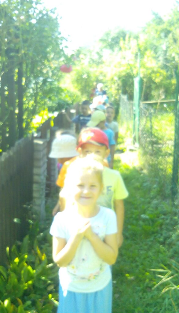 ogrodki